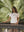 CAMISETA BAHÍA