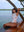 BODY FLORIDA